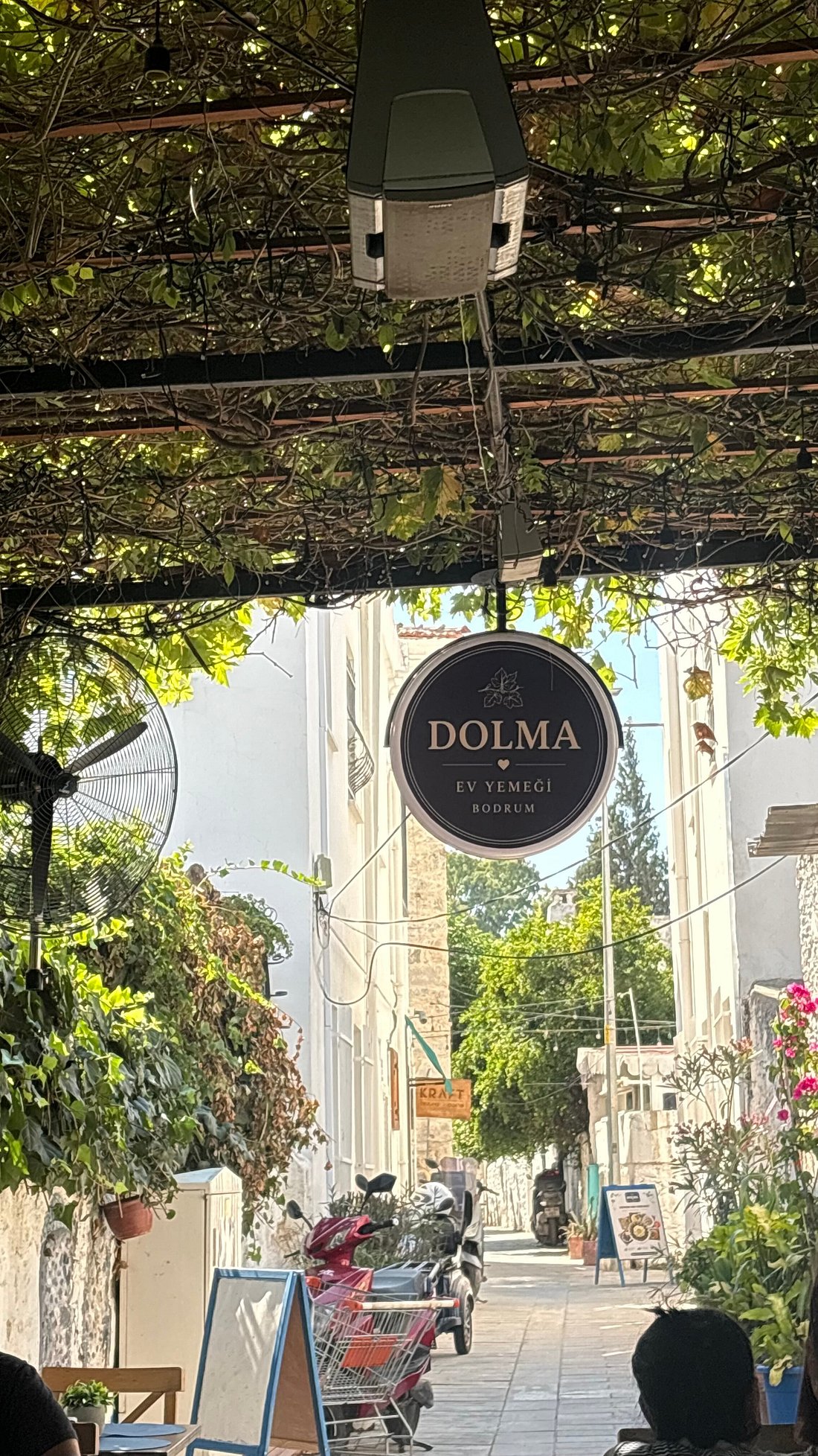 Dolma Ev Yemekleri